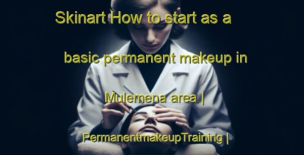 Skinart How to start as a basic permanent makeup in Mulemena area | PermanentmakeupTraining | PermanentmakeupClasses | SkinartTraining-the Democratic Republic of the Congo